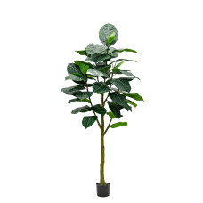 Artificial Ficus Elastica Abidjan H210