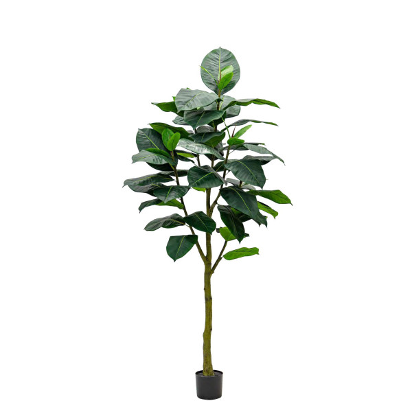 Artificial Ficus Elastica Abidjan H210