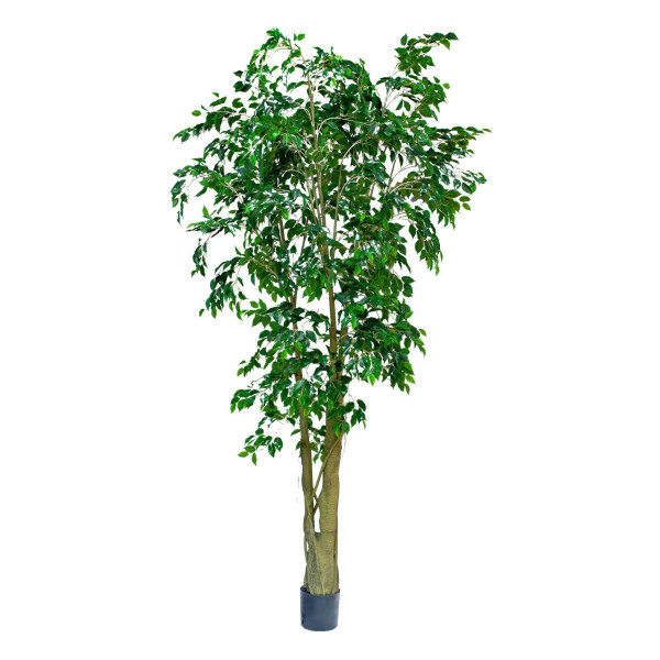 Artificial Ficus Benjamina Weeping Fig(Green) h300