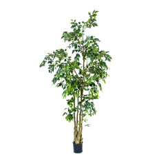 Artificial Ficus Benjamina h240