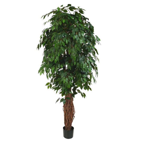 Artificial Ficus Benjamina Liana H210