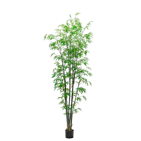Artificial Bamboo Bissetii(Green) H240