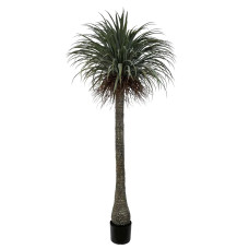 Artificial Nolina H230