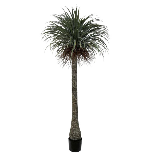 Artificial Nolina H230