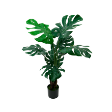 Monstera Bush In The Planters H100