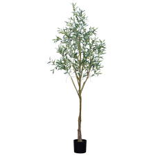 Olive Tree H240