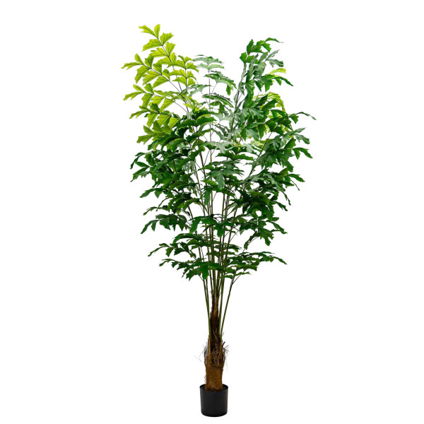 Artificial Caryota Fishtail Palm H240