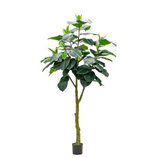 Artificial Ficus Elastica Abidjan H240