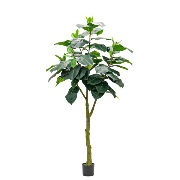 Artificial Ficus Elastica Abidjan H240