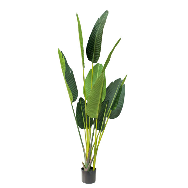 Artificial Strelitzia Nicolai H160