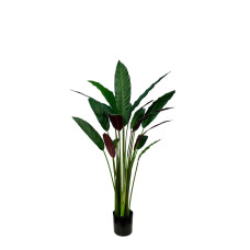 Artificial Calathea Rufibarba H110