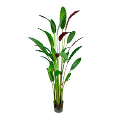 Artificial Calathea Rufibarba H180