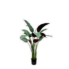 Artificial Calathea Freddie Bush H110