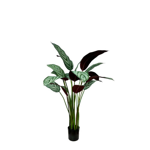 Artificial Calathea Freddie Bush H110
