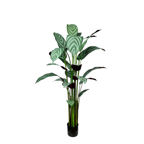 Artificial Calathea Freddie Bush H160