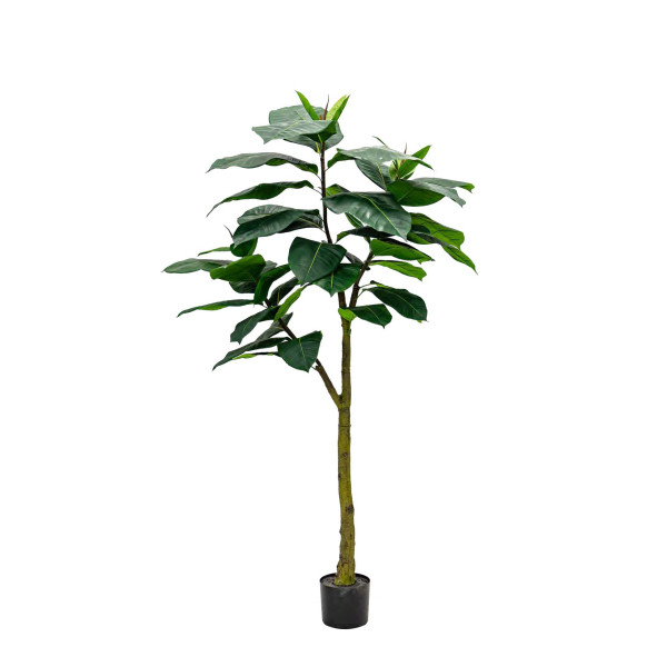 Artificial Ficus Elastica Abidjan H180