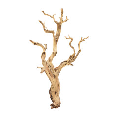 Ghostwood sand blasted branchy, 120-140 cm