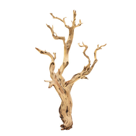 Ghostwood sand blasted branchy, 120-140 cm