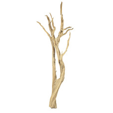 Ghostwood sand blasted branchy, 150-175 cm