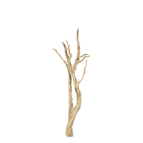 Ghostwood sand blasted branchy, 90-100 cm