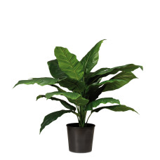 Spathiphyllum artificial plant, 90 cm