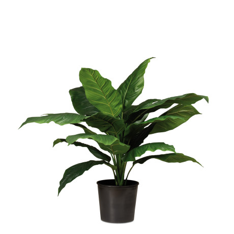 Spathiphyllum artificial plant, 90 cm