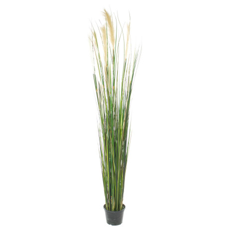 Cattail - Typhaceae artificial plant, height 183 cm, potted