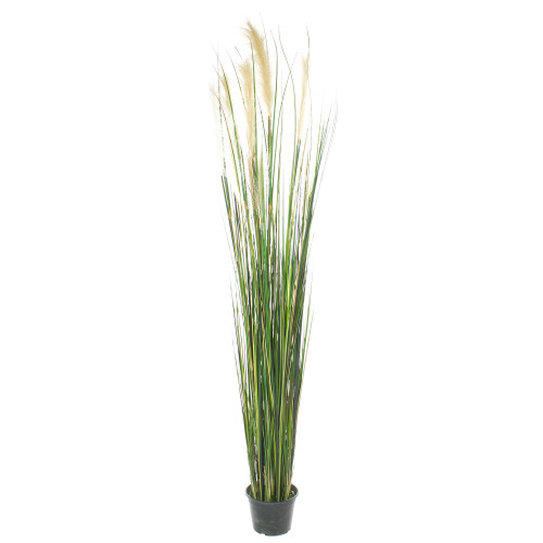 Cattail - Typhaceae artificial plant, height 183 cm, potted