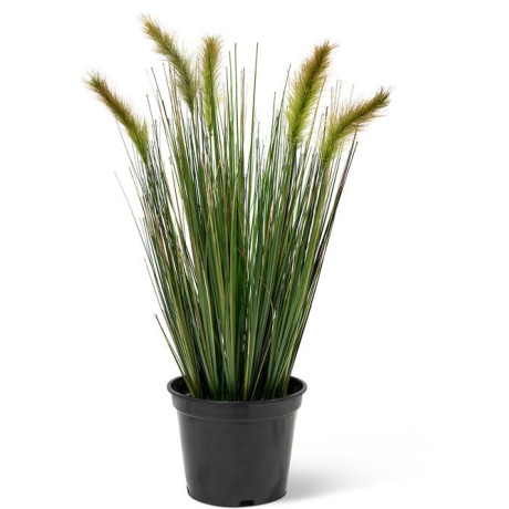 Foxtail grass - Alopecurus artificial plant, height 60 cm, potted