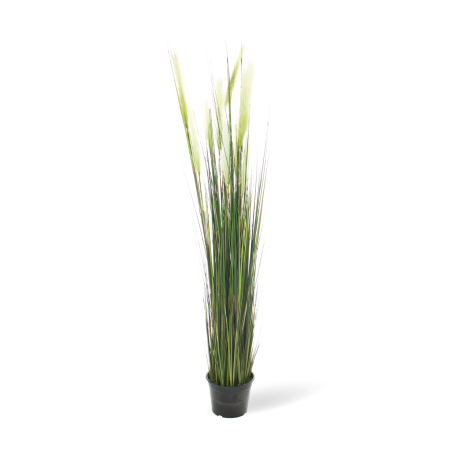 Cattail - Typhaceae artificial plant, height 152 cm, potted