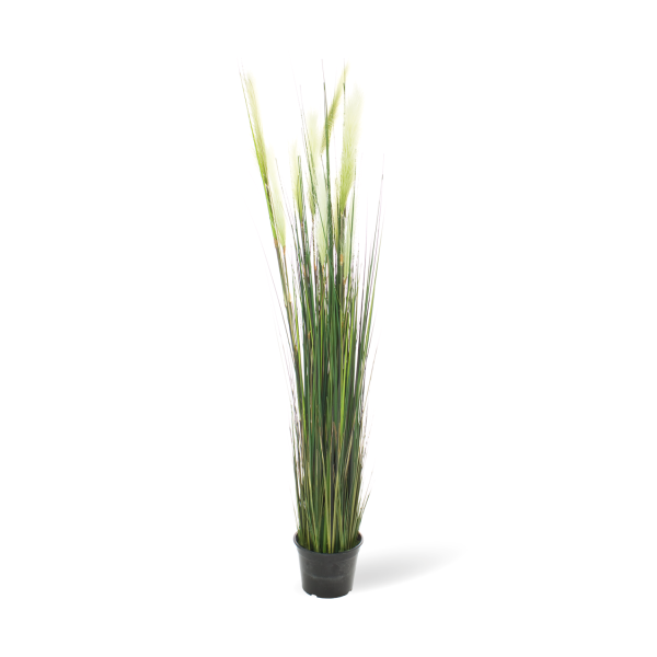 Cattail - Typhaceae artificial plant, height 152 cm, potted