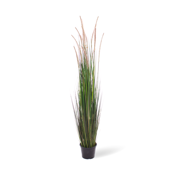 Bulbous grass artificial plant, densely grown, 152 cm, beige