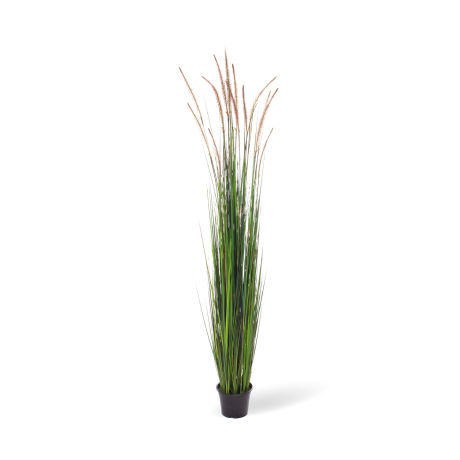 Bulbous grass artificial plant, densely grown, 183 cm, beige