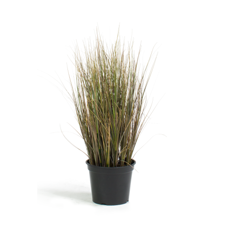 Bulbous grass artificial plant, densely grown, 60 cm, red/green