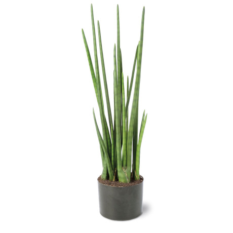 Bow hemp - Sansevieria Cylindrica artificial plant, 100 cm