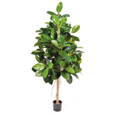 Ficus Elastica green - rubber tree artificial plant, 180 cm