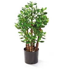 Money tree Crassula Ovata, artificial plant, 60 cm