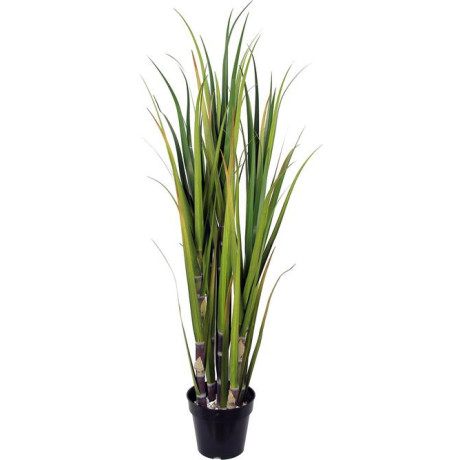 Sugar cane - Saccharum officinarum artificial plant, height 122 cm