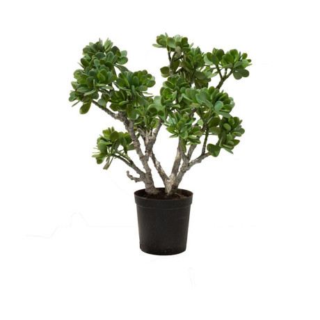 Jade tree Crassula Ovata artificial plant, 56 cm