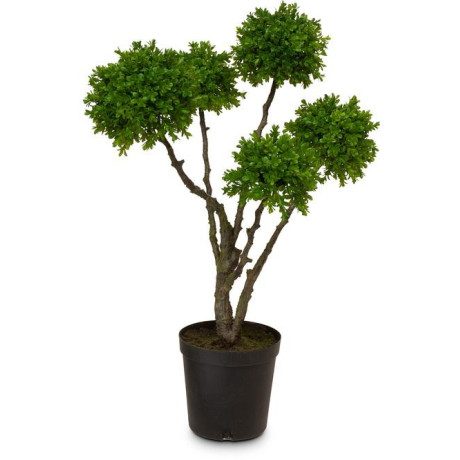 Boxwood balls on trunk artificial plant 91 cm, potted