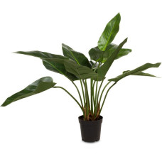 Flamingo flower - Anthurium, potted artificial plant 65 cm