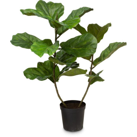 Fiddlehead fig Ficus Lyrata, artificial plant 107 cm