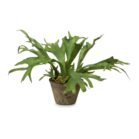 Staghorn fern - Platycerium artificial plant 55 cm, potted