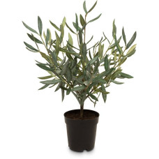 Olive bush - Olea europaea artificial plant 51 cm, potted