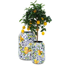 Lemon Fusion planter, set of 2, Ø 47/30 cm, height 62/43 cm