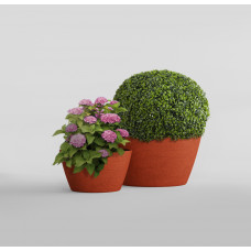 BOWL EROSIA CORAL