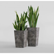 CONIC CONCRETE GREY DARK