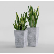 CONIC CONCRETE GREY LIGHT