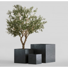 CUBE ANTHRACITE