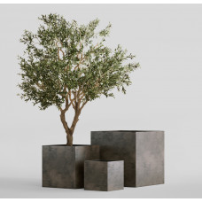 CUBE BREZENT GREY